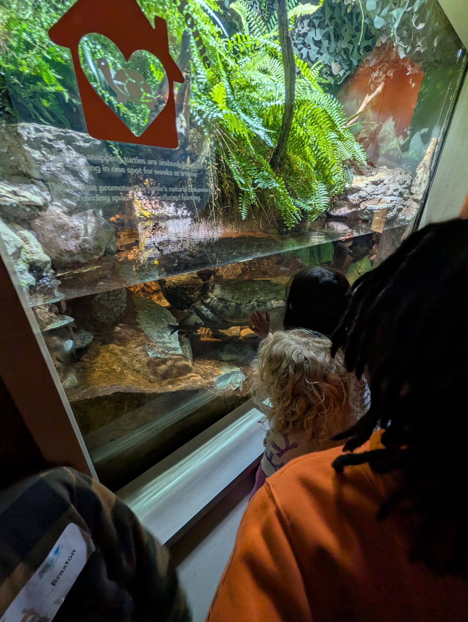 TOPS 2026 Zoo