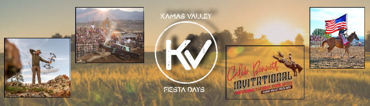 Header for fiesta days