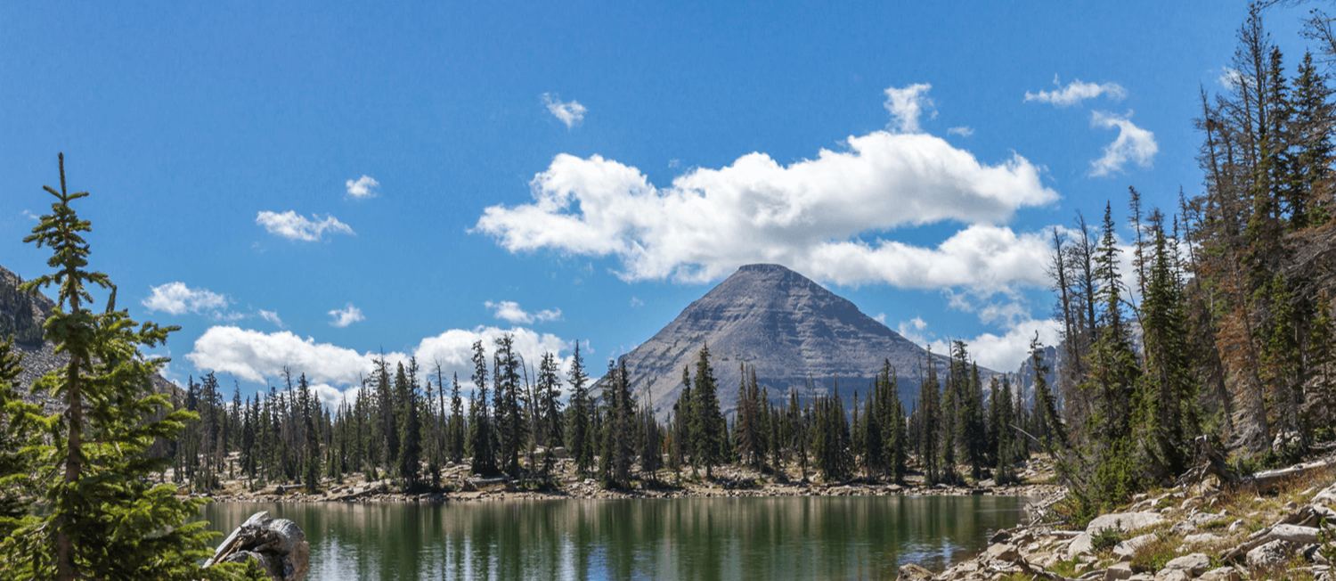 outdoor landscape image. lake, trees, and mountain