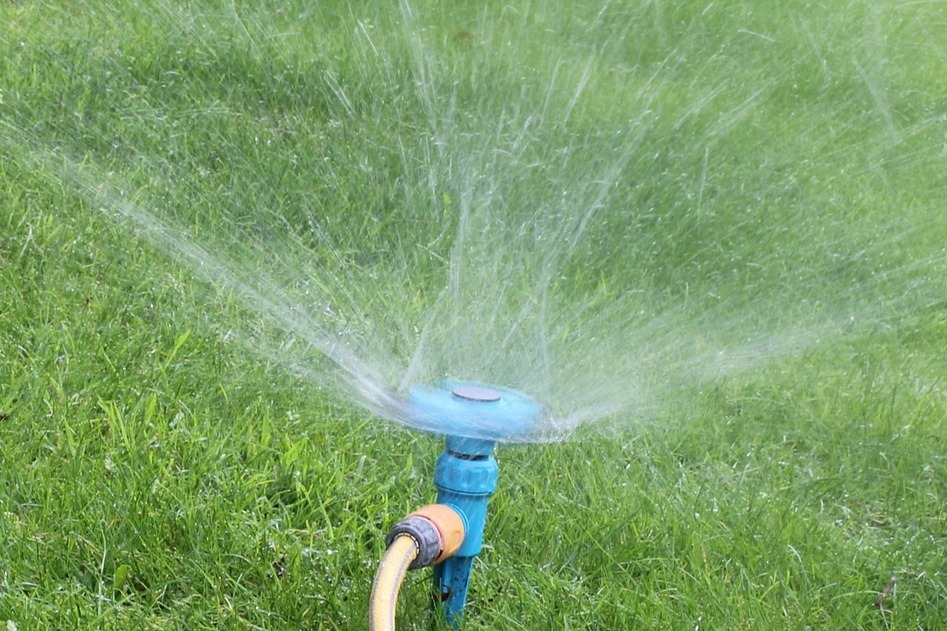 Sprinkler spraying water