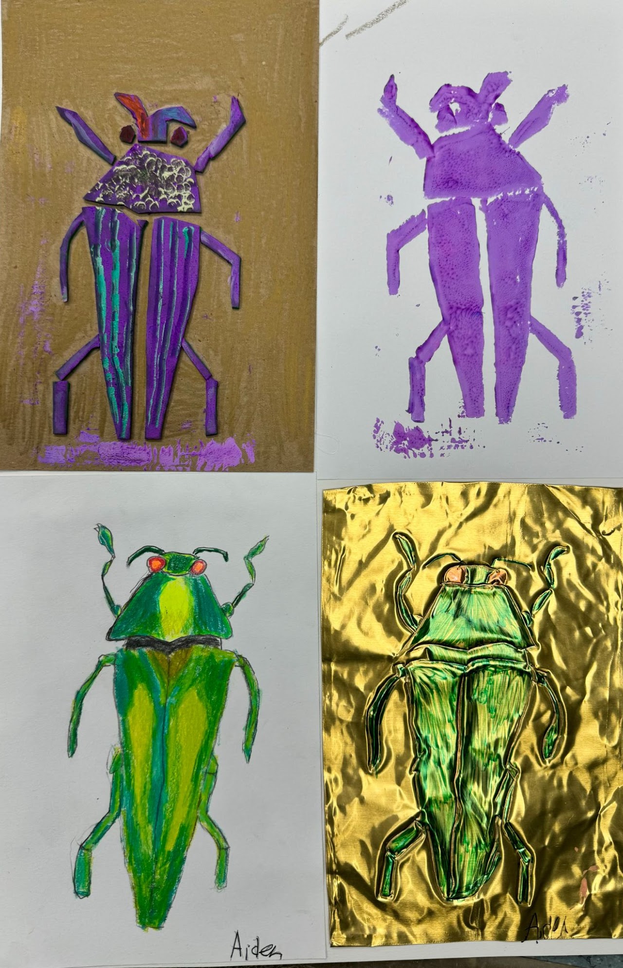 Bug Series