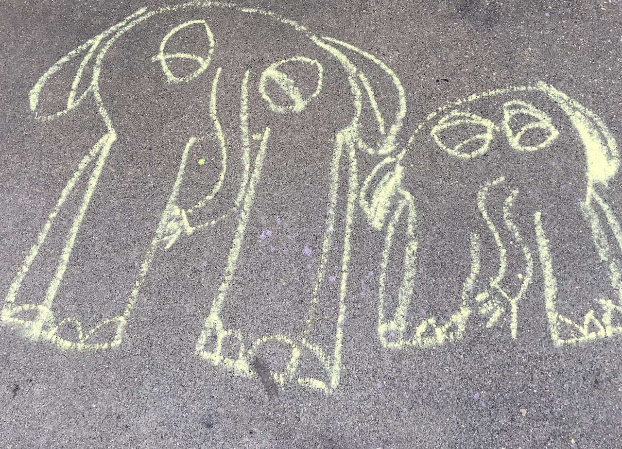 Addie, kindergarten