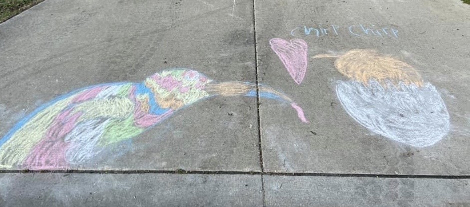 Sawyer, 4th grade