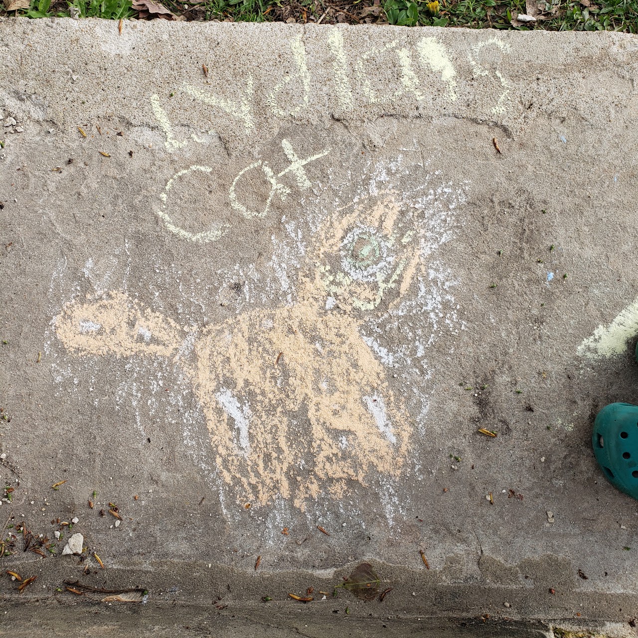 Lydia, 2nd grade