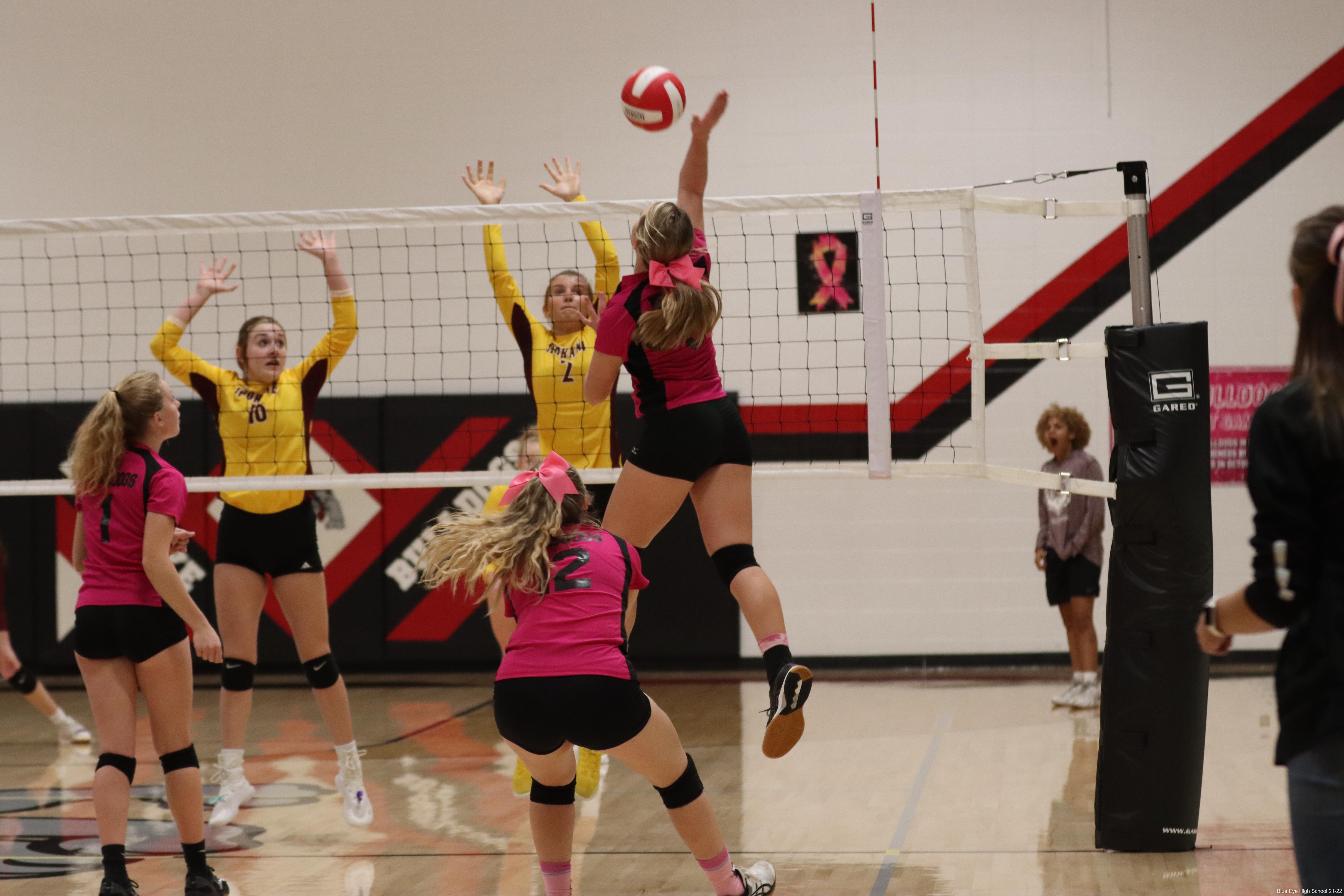 girls playing volleyball