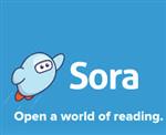 Sora link