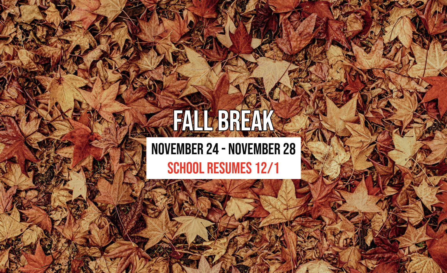 Fall Break is November 24 to November 28. School resumes on December 1. 