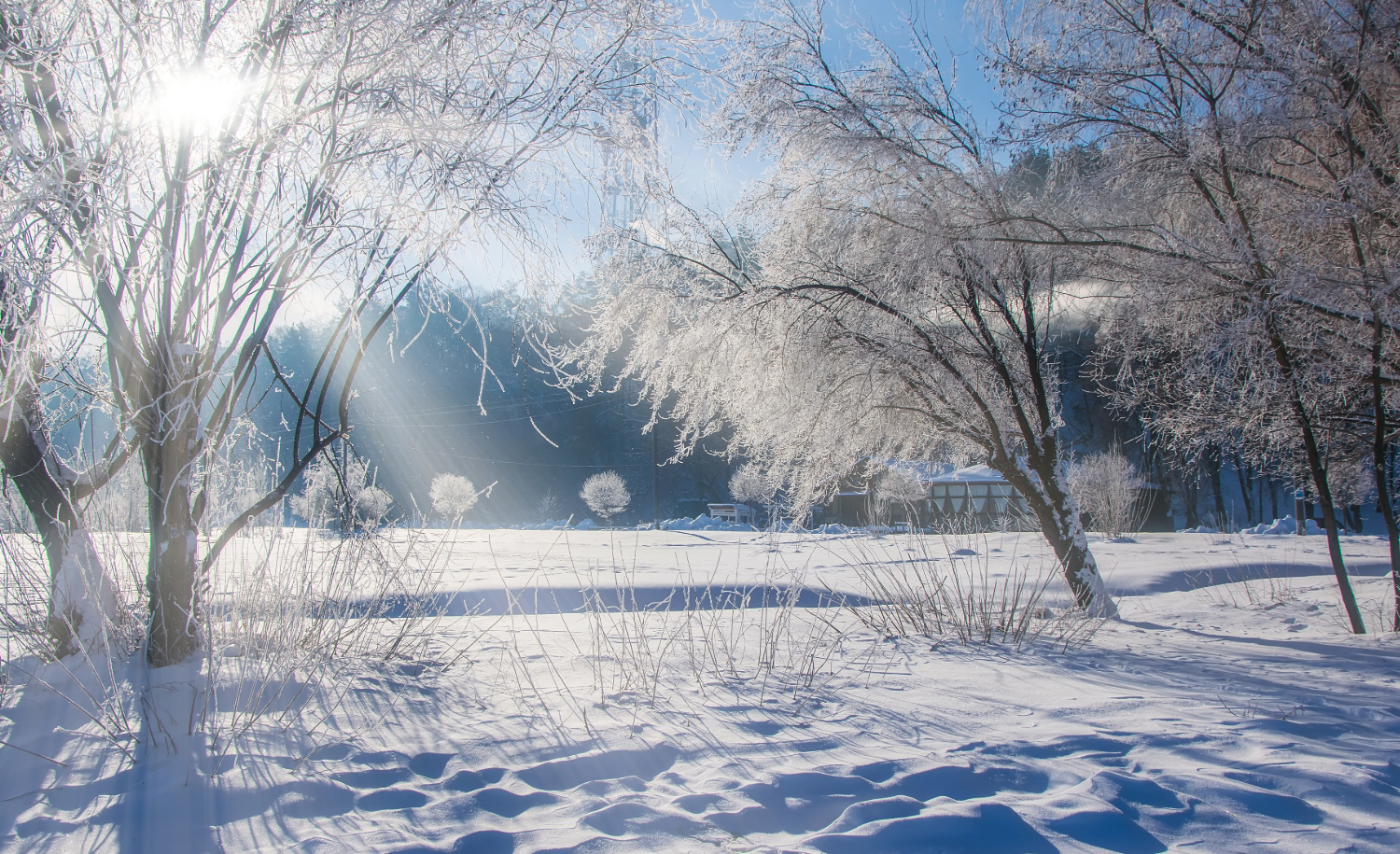 Asynchronous Learning Day 12/4