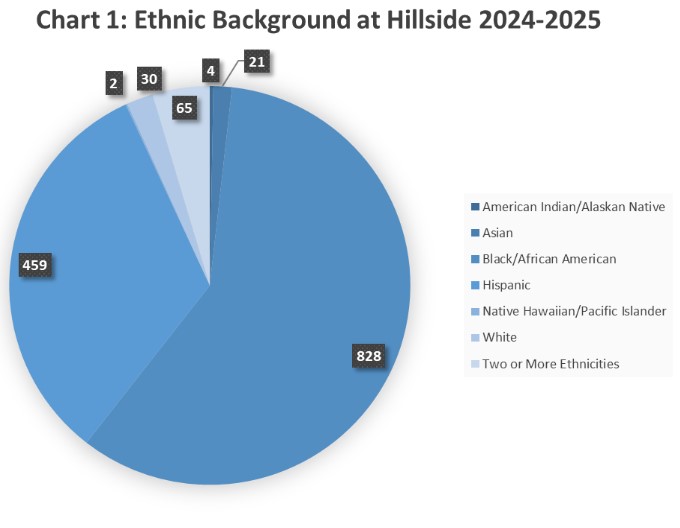 Student Ethnic Background