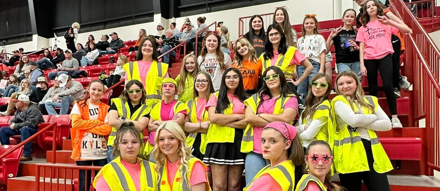 Student Section- District Basketball