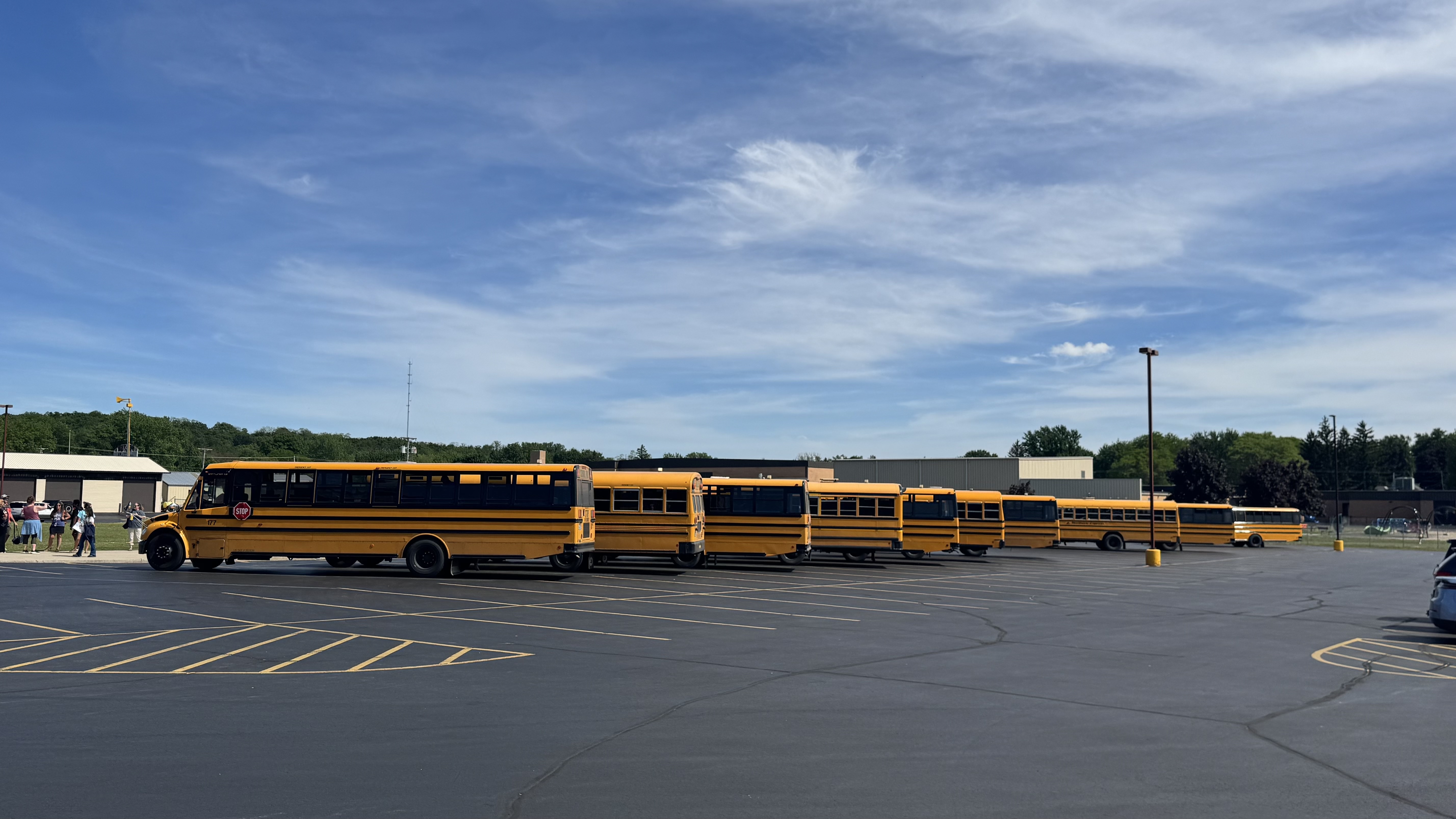 busses