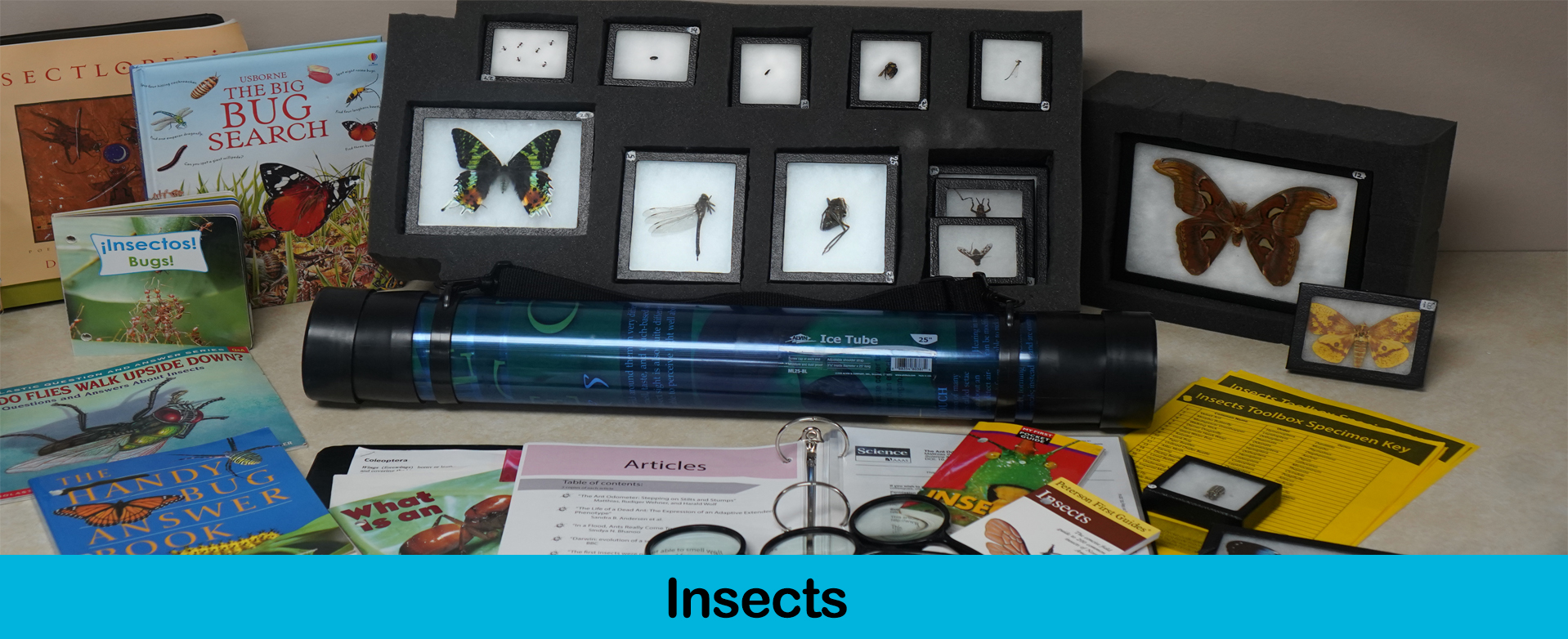 Insects Toolbox