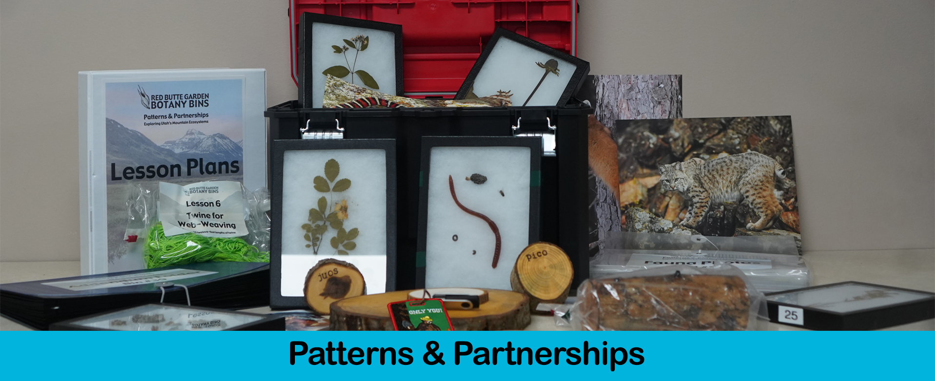 Patterns & Partnerships