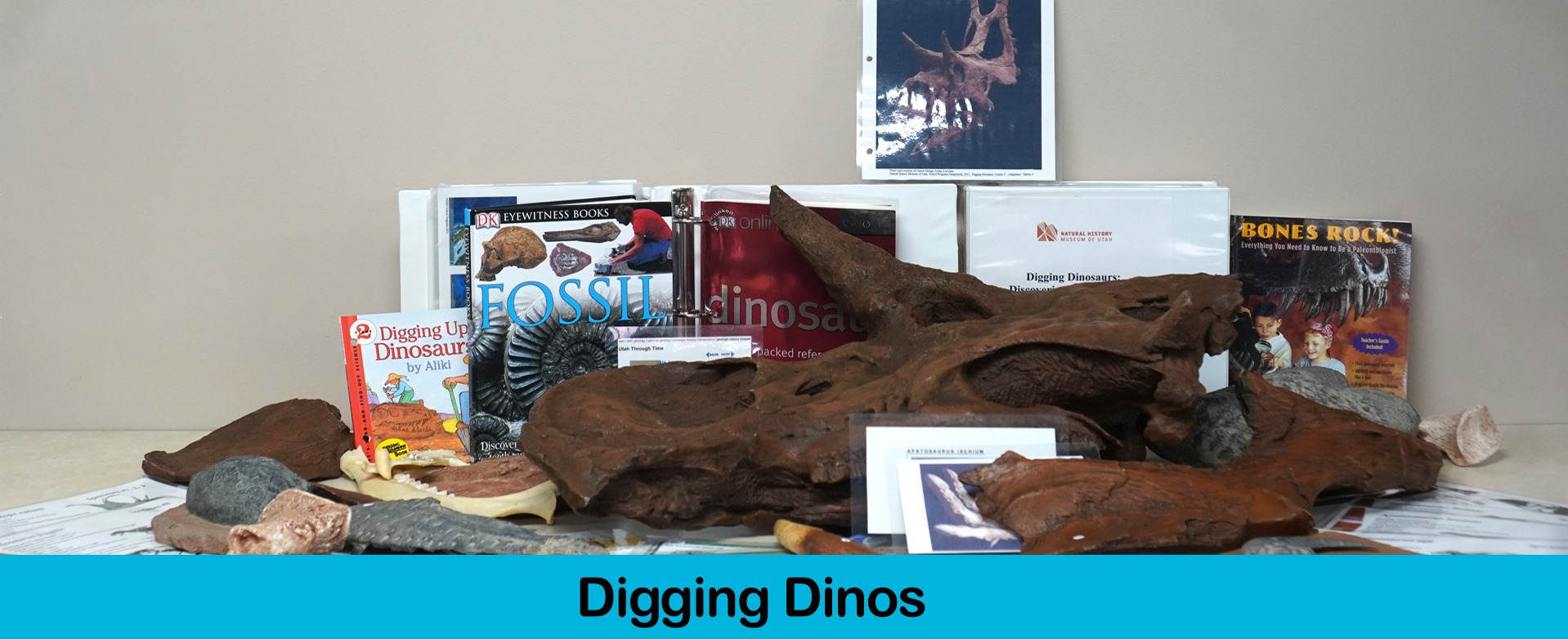 Digging Dinosaurs Toolbox