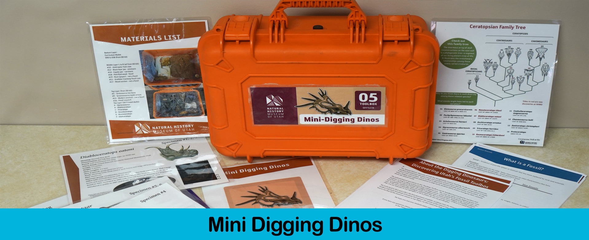 Mini Digging Dinos