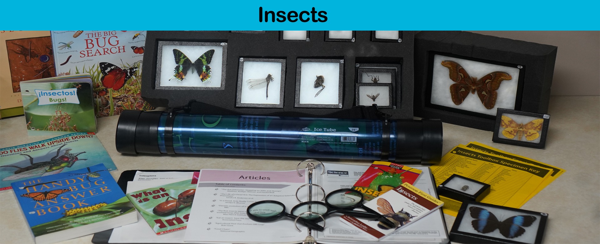 Insects Toolbox