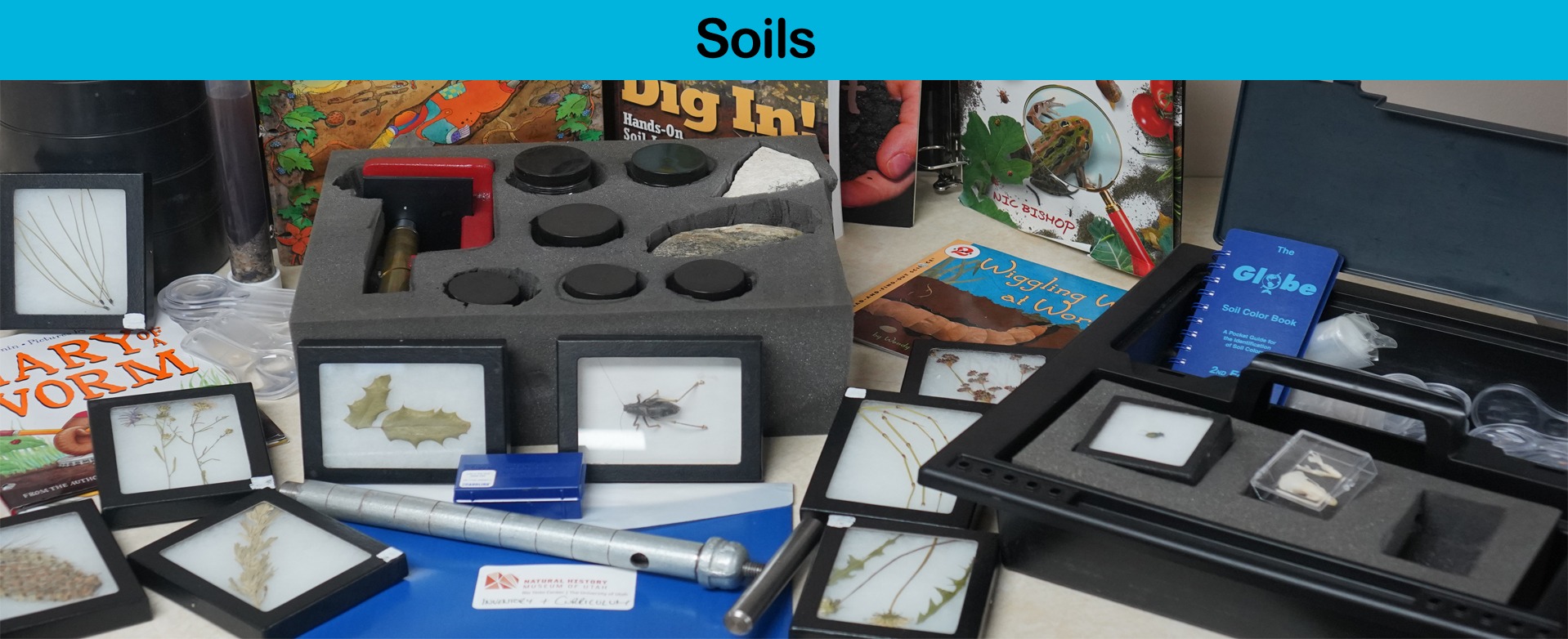Digging Dinosaurs Toolbox