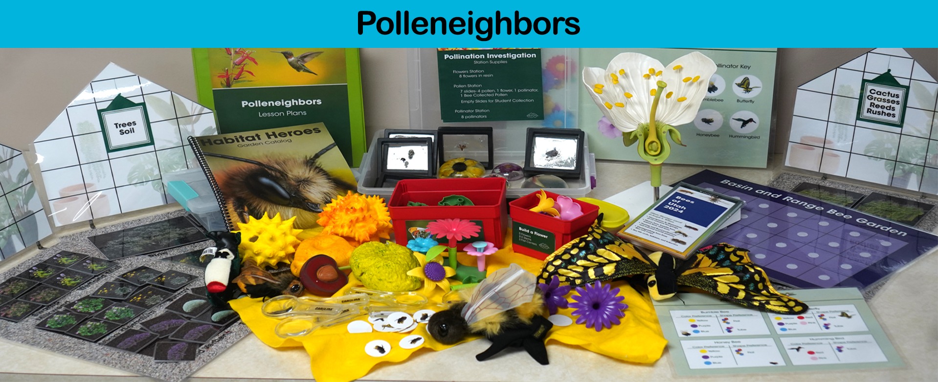 Polleneighbors