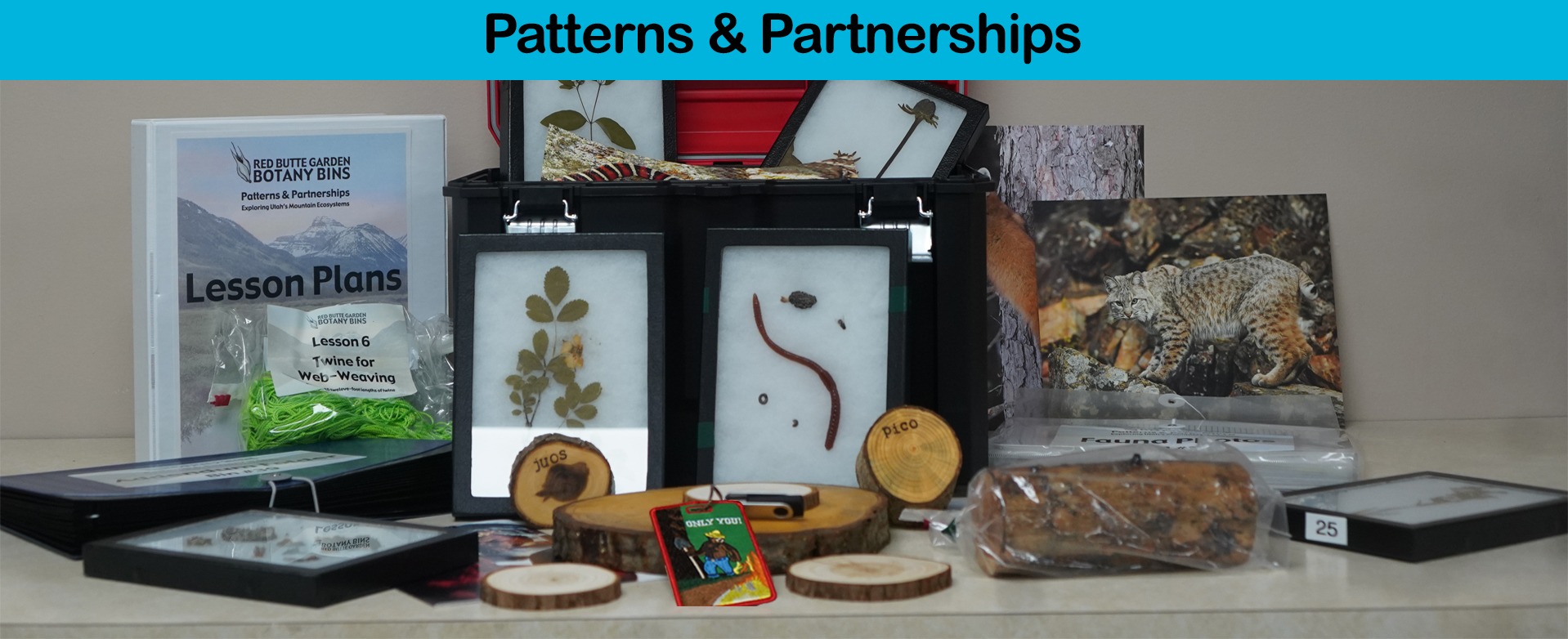 Patterns & Partnerships