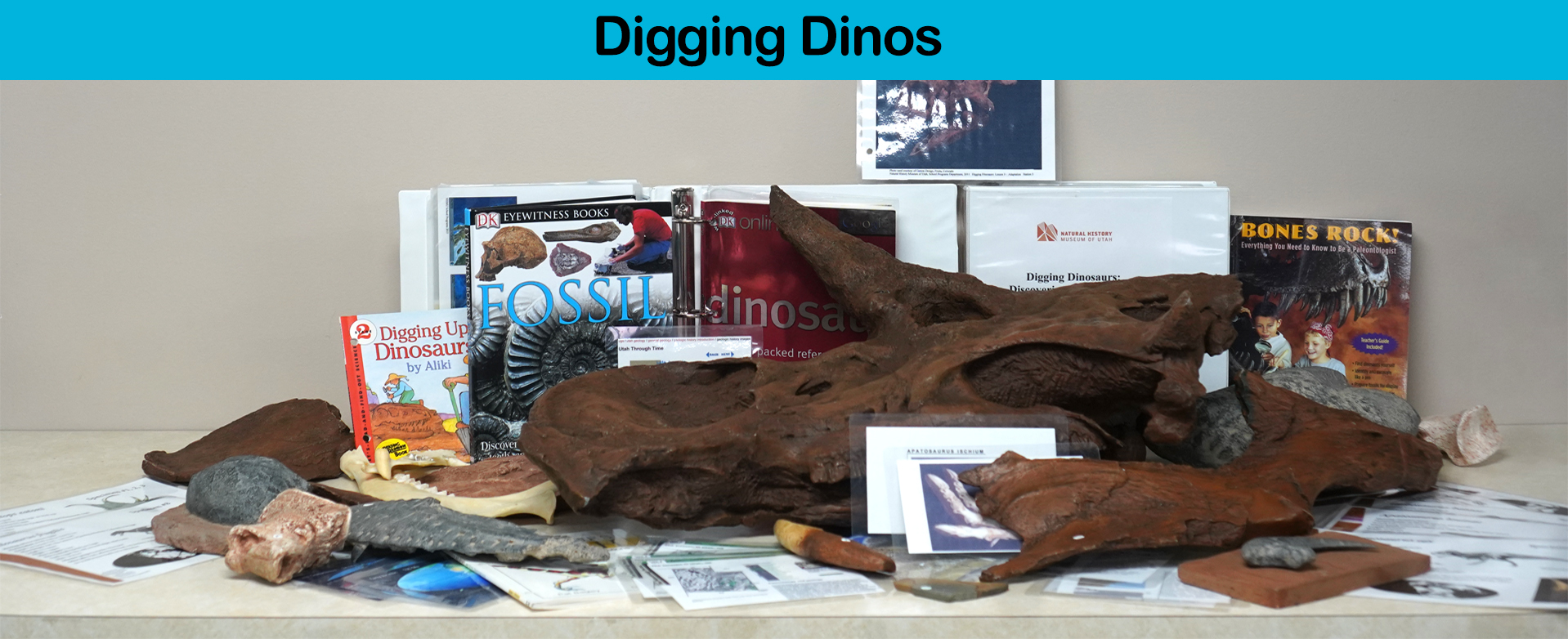 Digging Dinosaurs