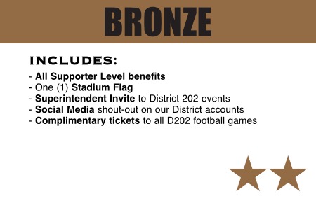 bronze-level