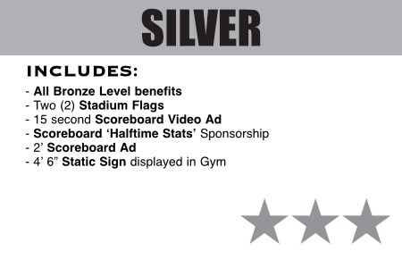 silver-level