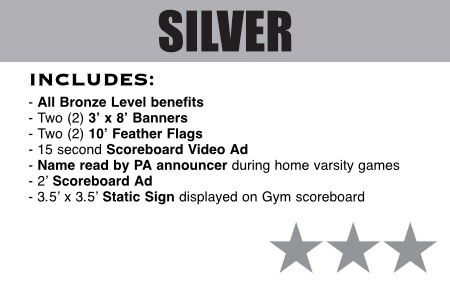 silver-level