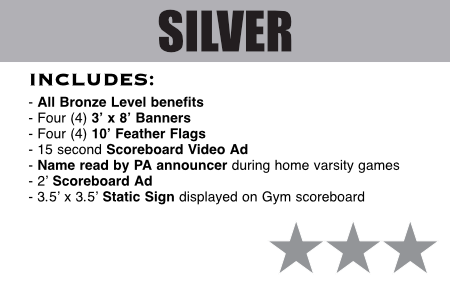 silver-level
