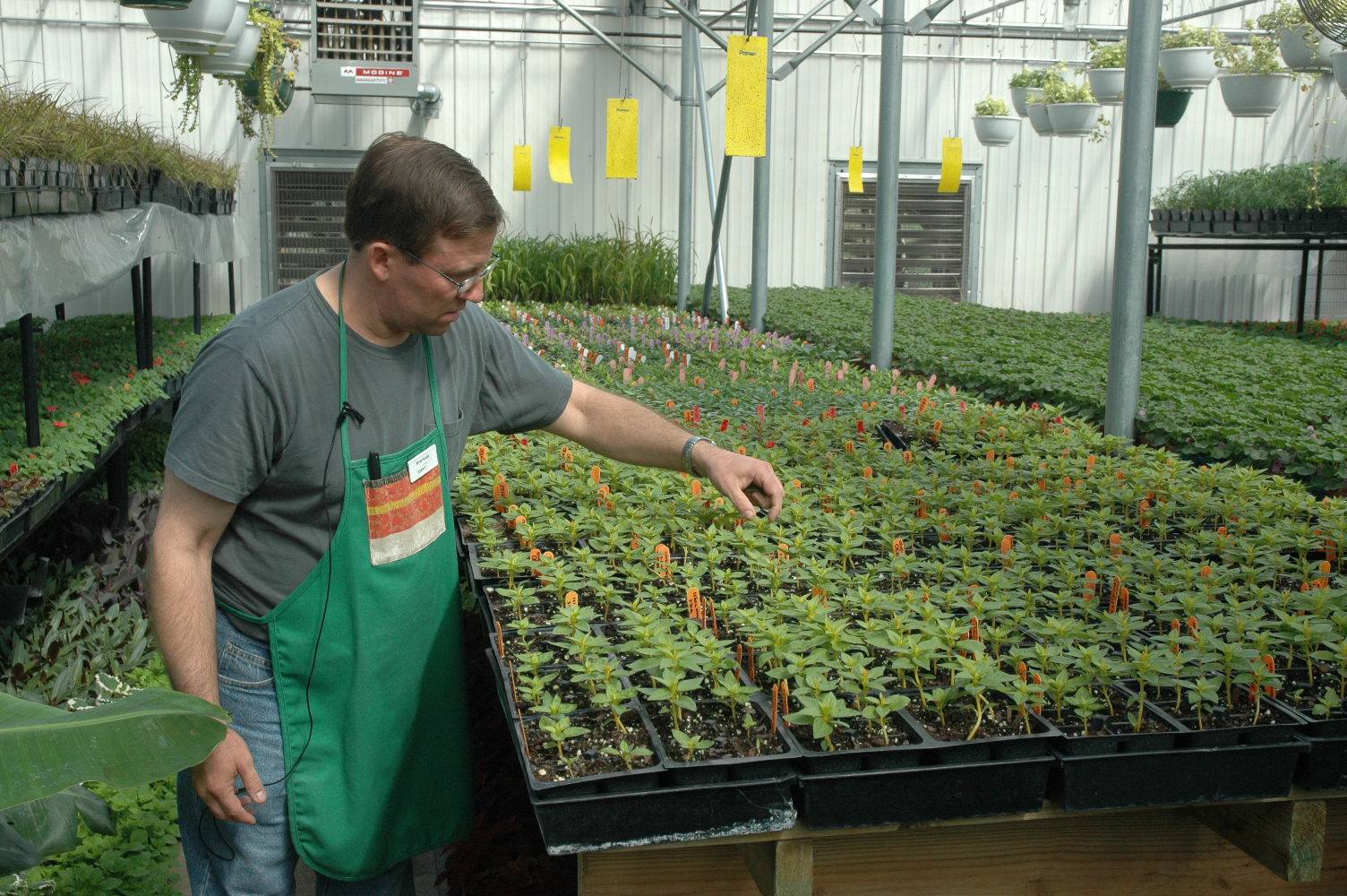 Man with garden