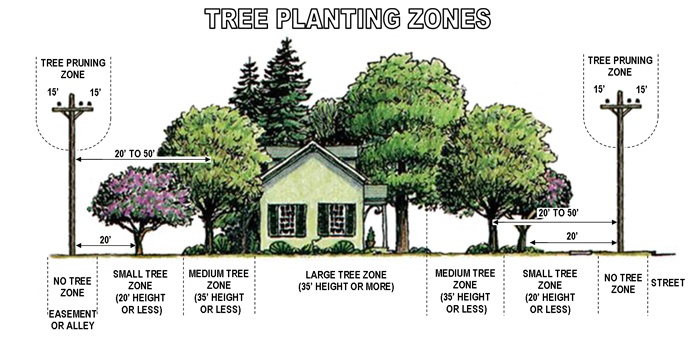 Tree Planting Zones