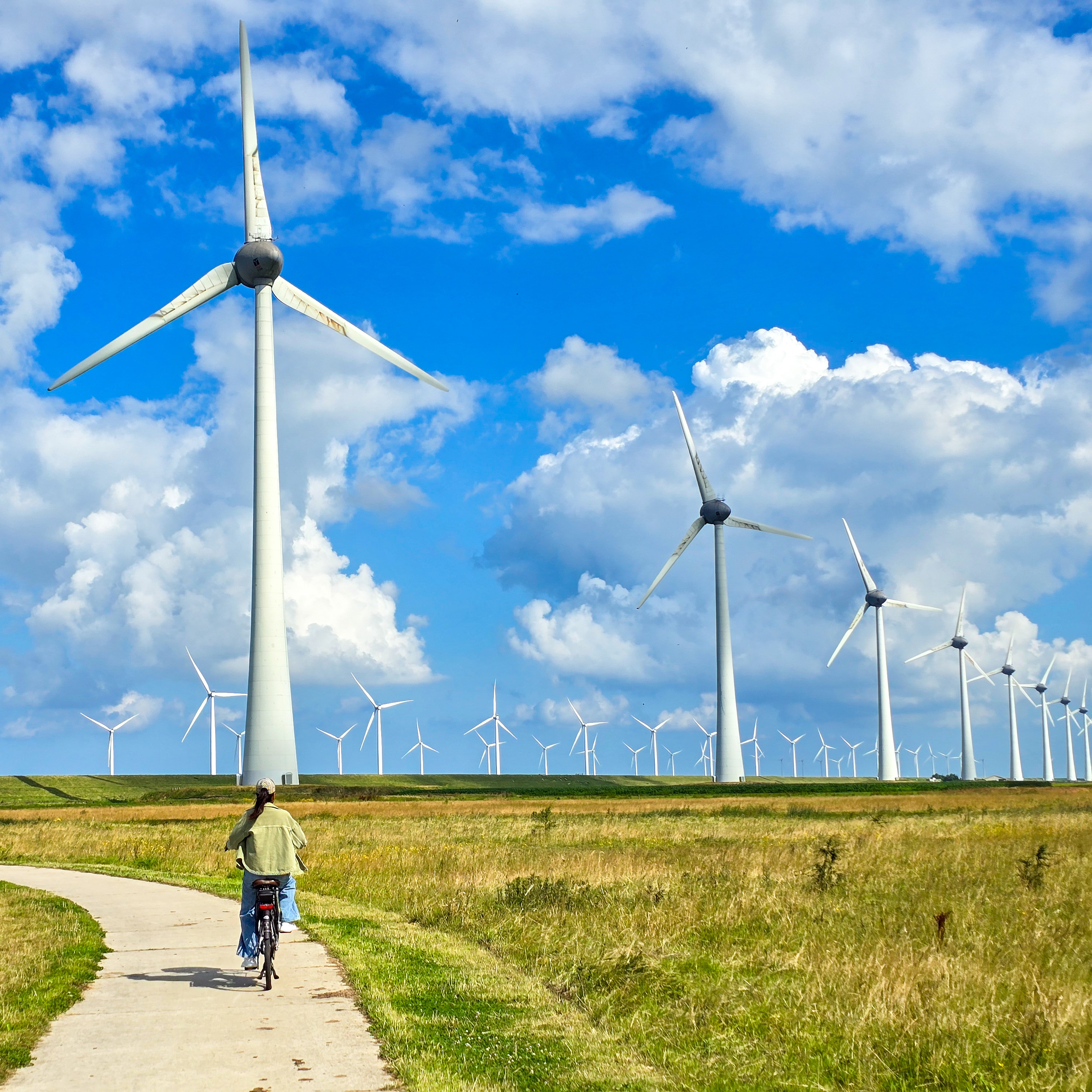 Renewable Energy