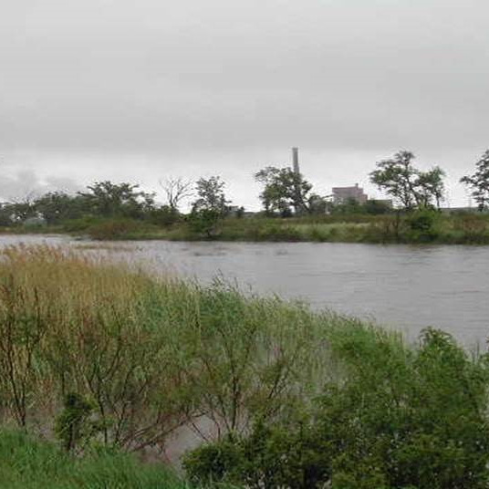 Wellfield