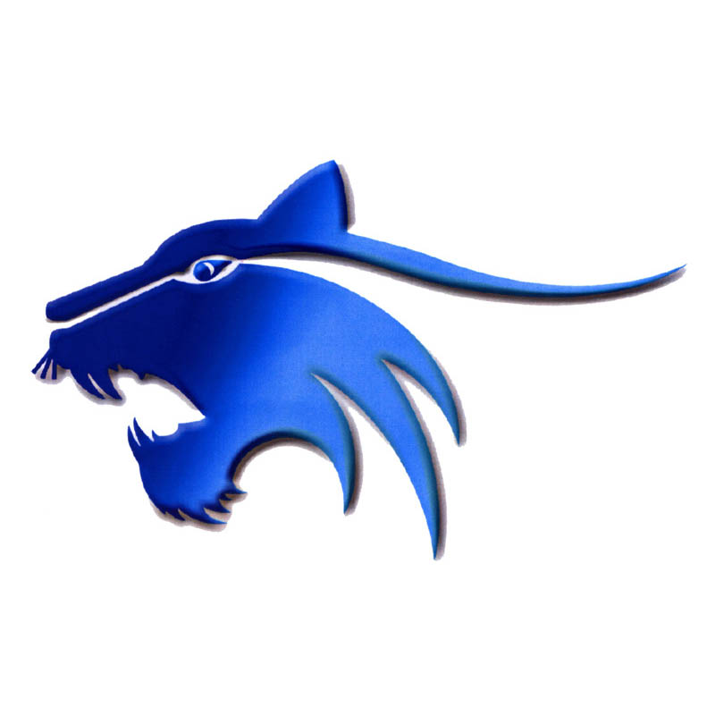 HBHS Wildcats Logo