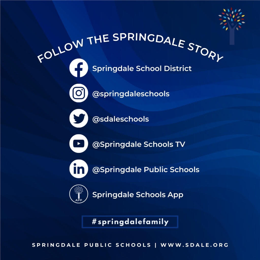 The Springdale Story Graphic