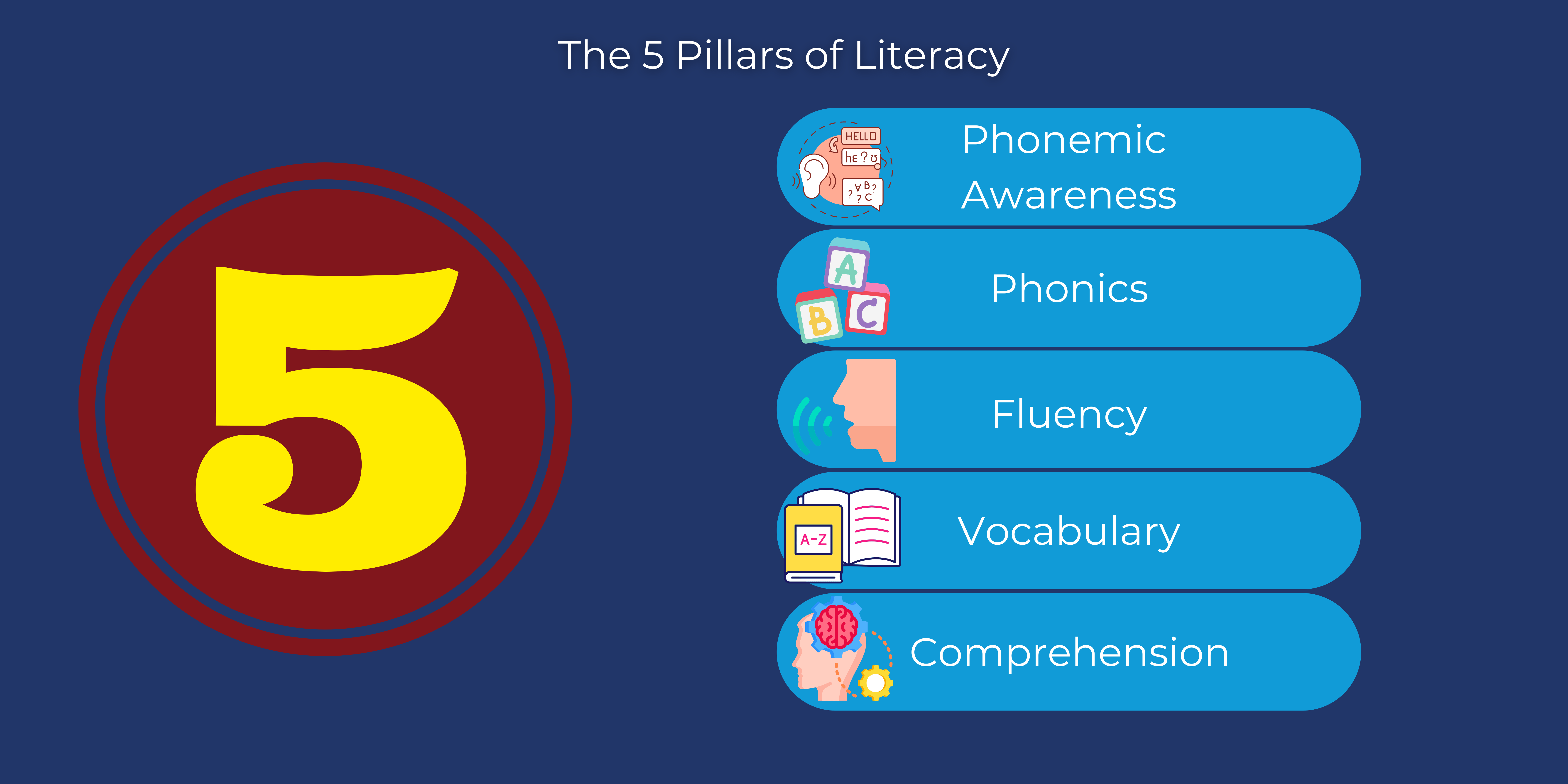 The 5 Pillars: Phonemic Awareness, Phonics, Comprehension, Vocabulary and Fluency. 