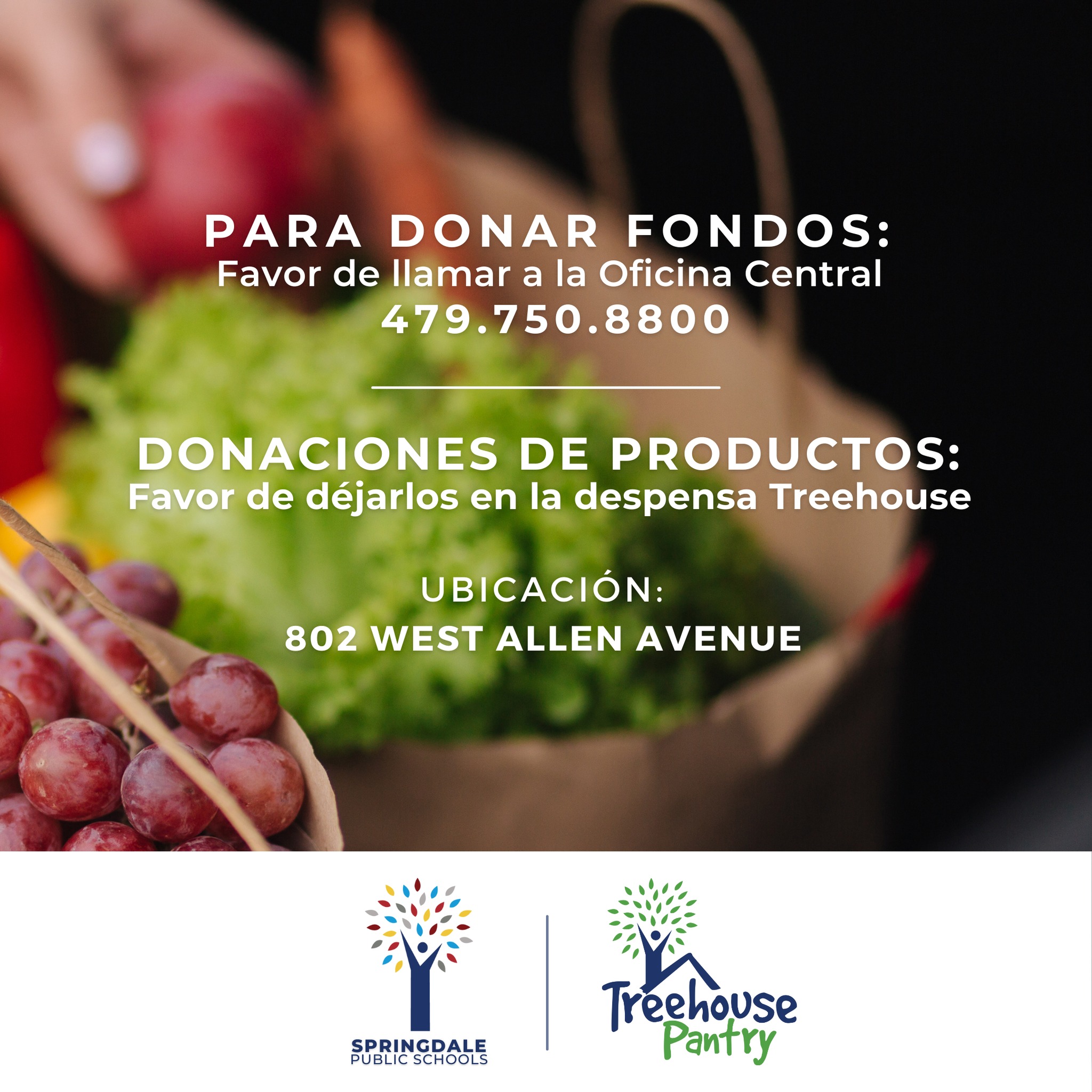 Donation Graphic in Spanish