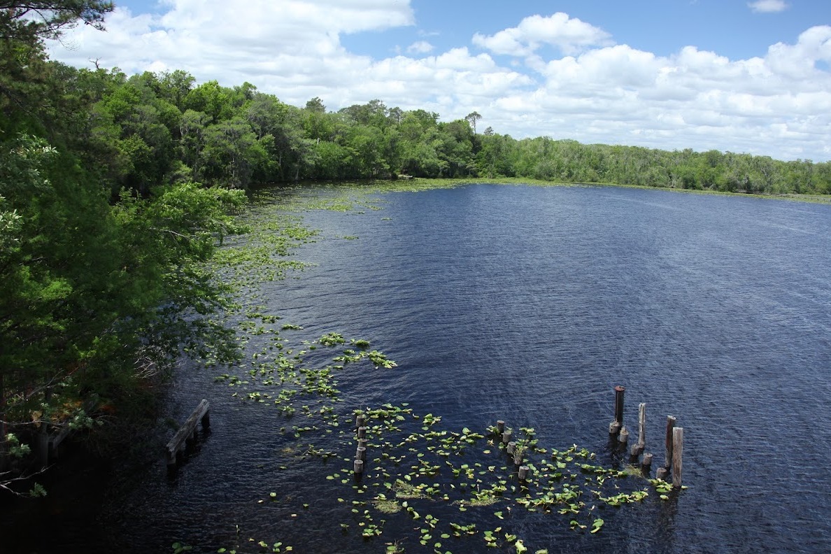 clay county black creek