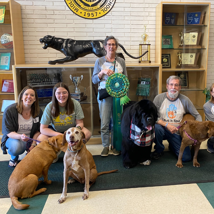 Dogs and Adults 