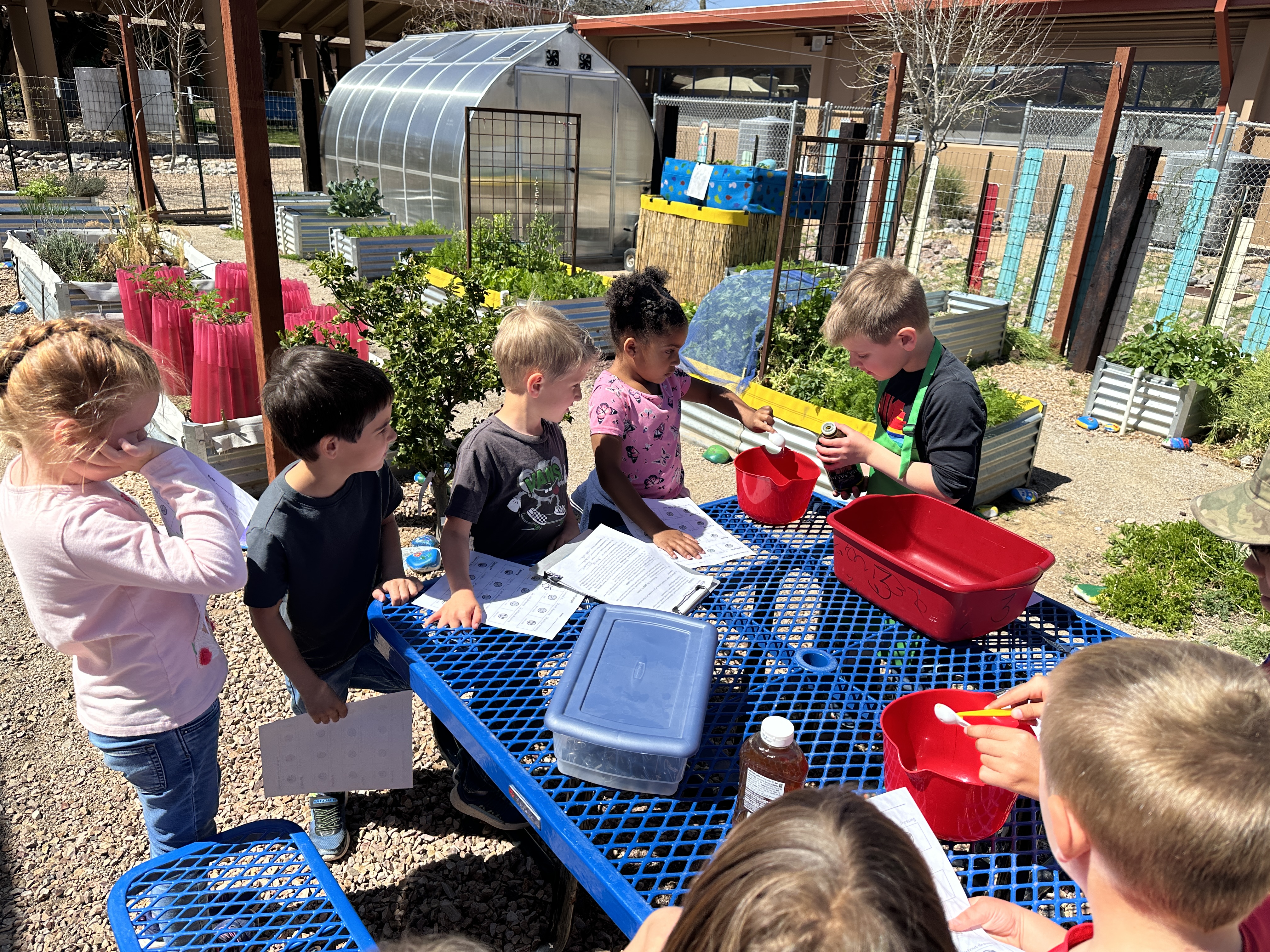 Garden Outdoor Learning