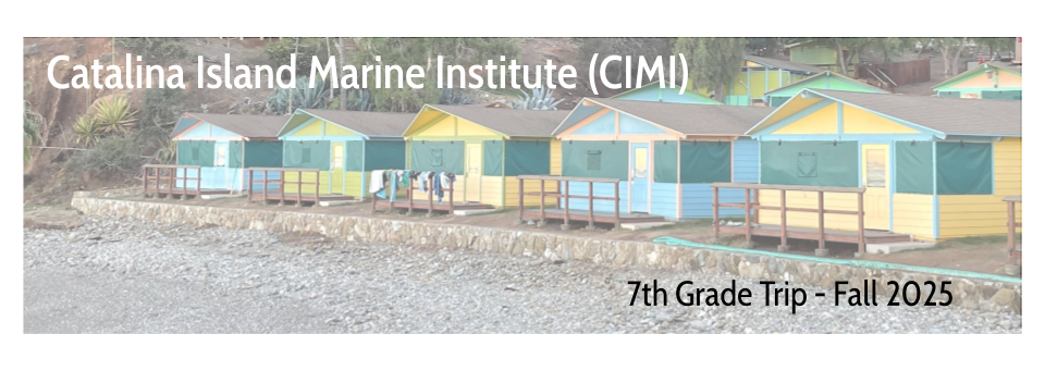 CIMI Trip Banner