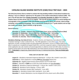 Flyer Icon
