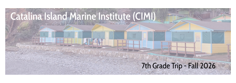 CIMI banner