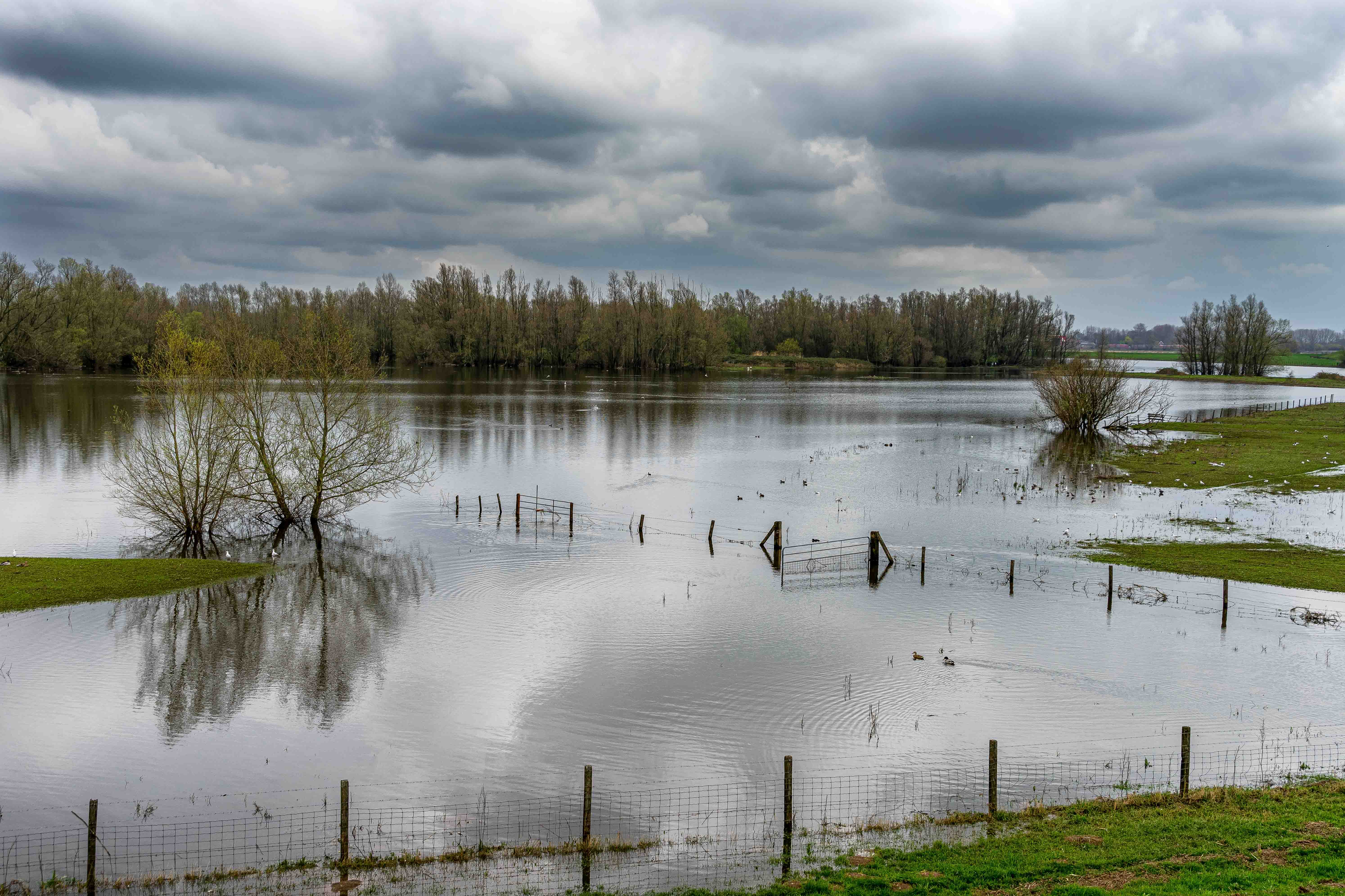 River bed overflowing