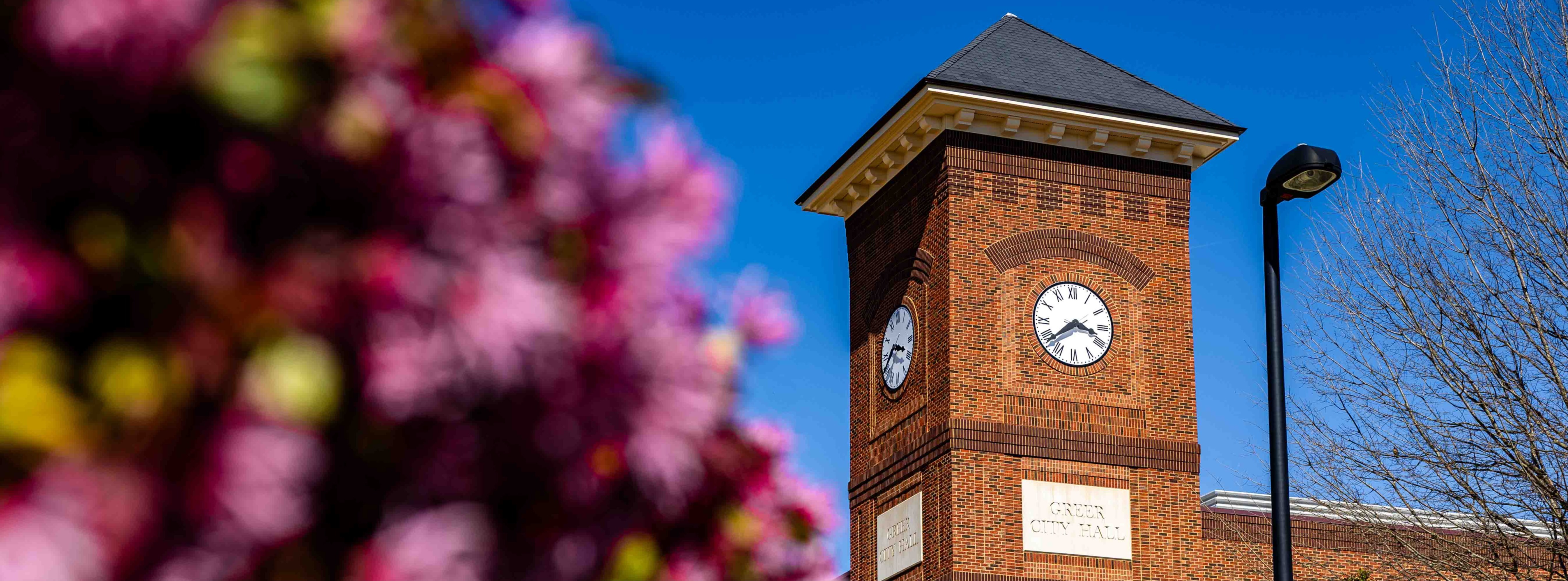 A purple blooming bush in the foreground with Greer City Hall's clock tower in the background