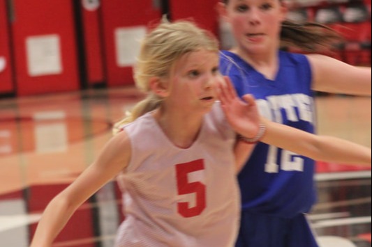 Girl playing basketball in gym.