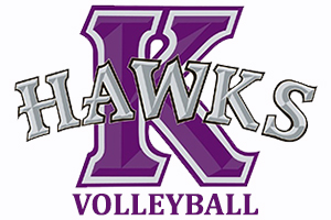 Logo with Volleyball