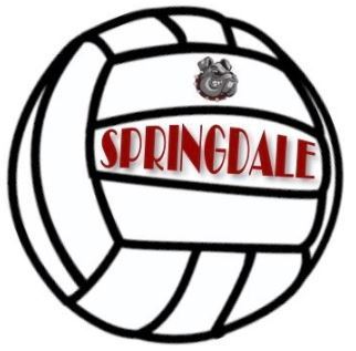 Volleyball logo