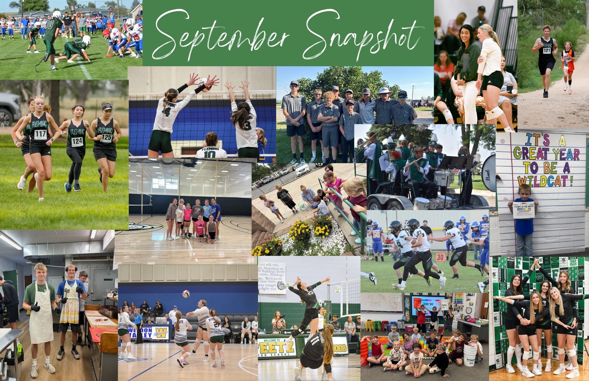 Newsletter