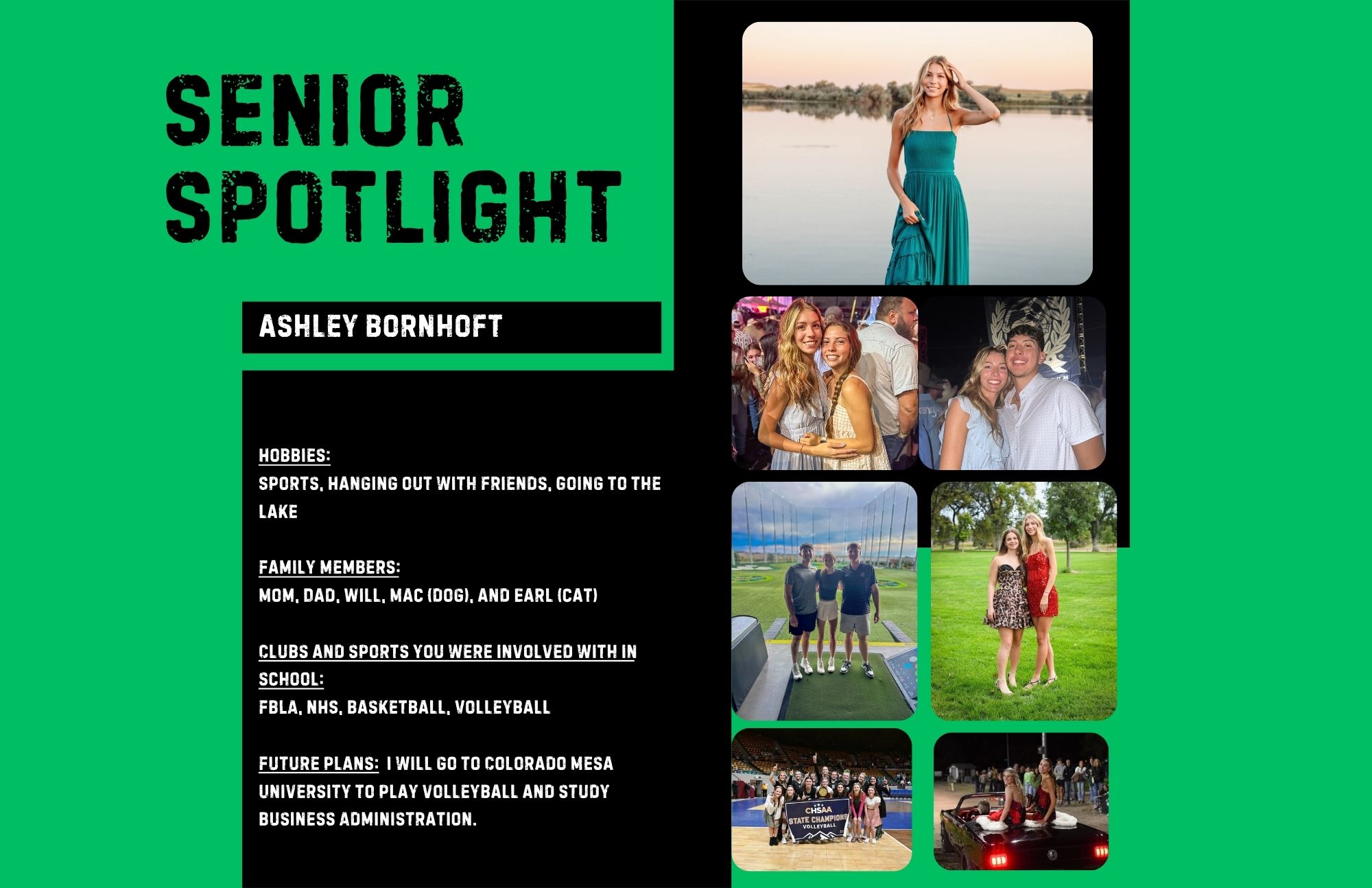 Wildcat Chat Family Newsletter