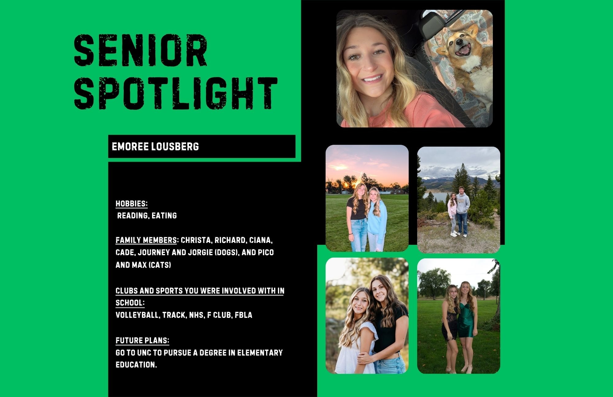 Wildcat Chat Family Newsletter